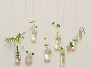 水培植物溫度控制 (7)