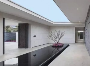 別墅水景就應該這樣設計 (25)
