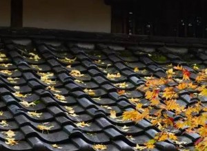 瓦片上的創意，真的很美！?。?(24)