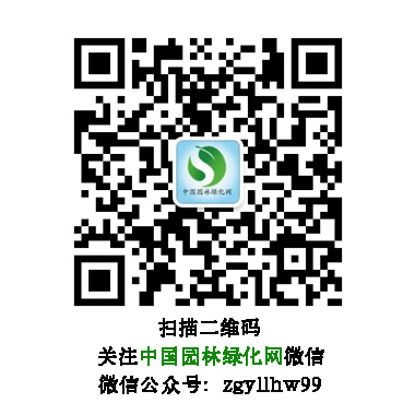 網站用二維碼