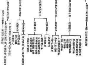 信用評級的評級指標