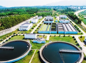 廣東廣業(yè)林茂投資有限公司所轄污水處理廠區(qū)綠化、保潔及安保服務(wù)采購(gòu)項(xiàng)目招標(biāo)公告