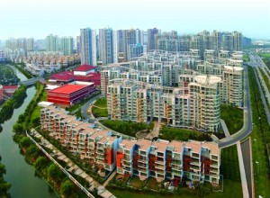 江蘇蘇州開發(fā)區(qū)尹山三期景觀綠化工程的中標公告