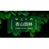 本公司常年出售國槐、海棠、五角楓、紅楓、糖槭等樹種