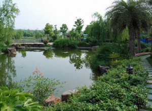 淺析園林水景設(shè)計(jì)與施工難點(diǎn)分析