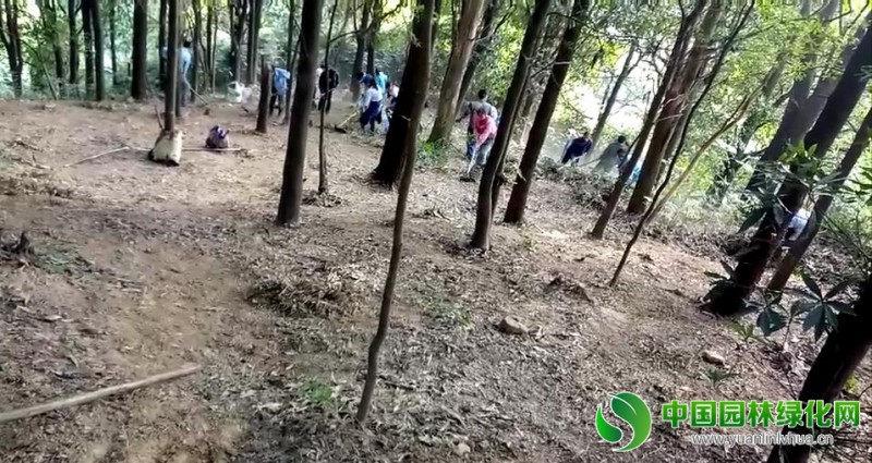 圖片3