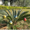 園林用品工具套裝( 園林工具，花園歡迎牌，花園裝飾品，太陽能燈 ) 50000個