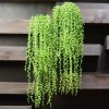 求購(gòu)14的青垂