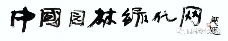 史國良.webp